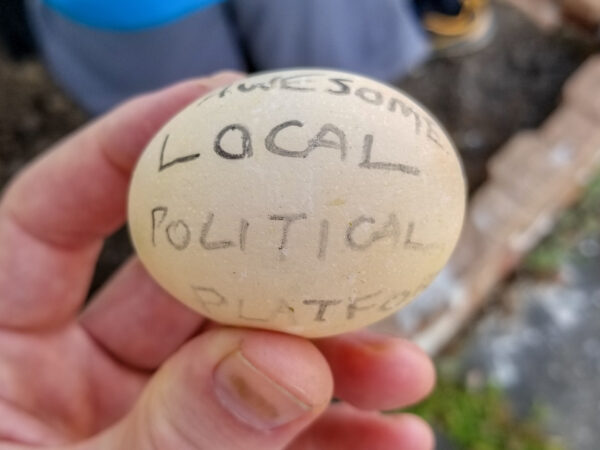 Egg with "Awesome Local Political Platform" written on it.